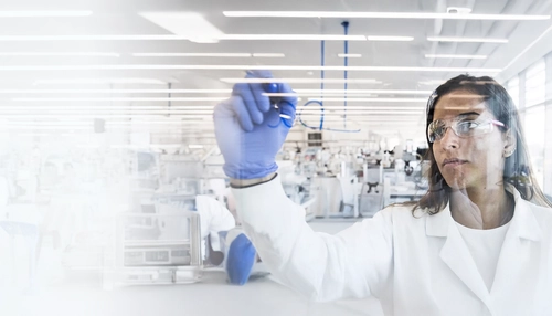 Biologists collaborating on wipe board