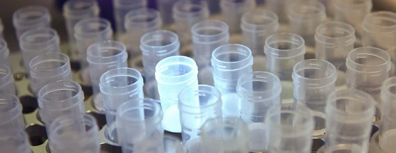 Illuminated samples in lab