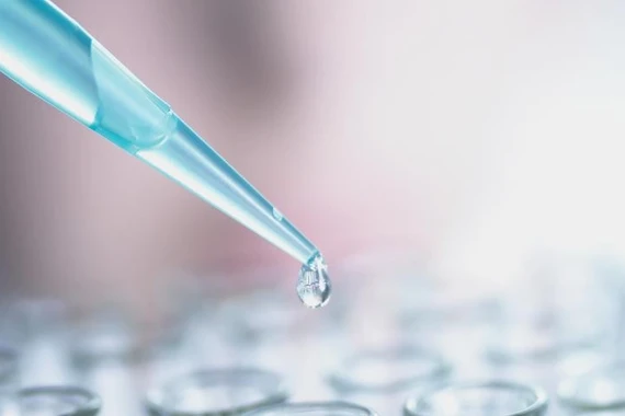 תחומי הטיפול שלנו