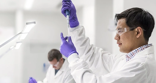 Man scientists working in lab